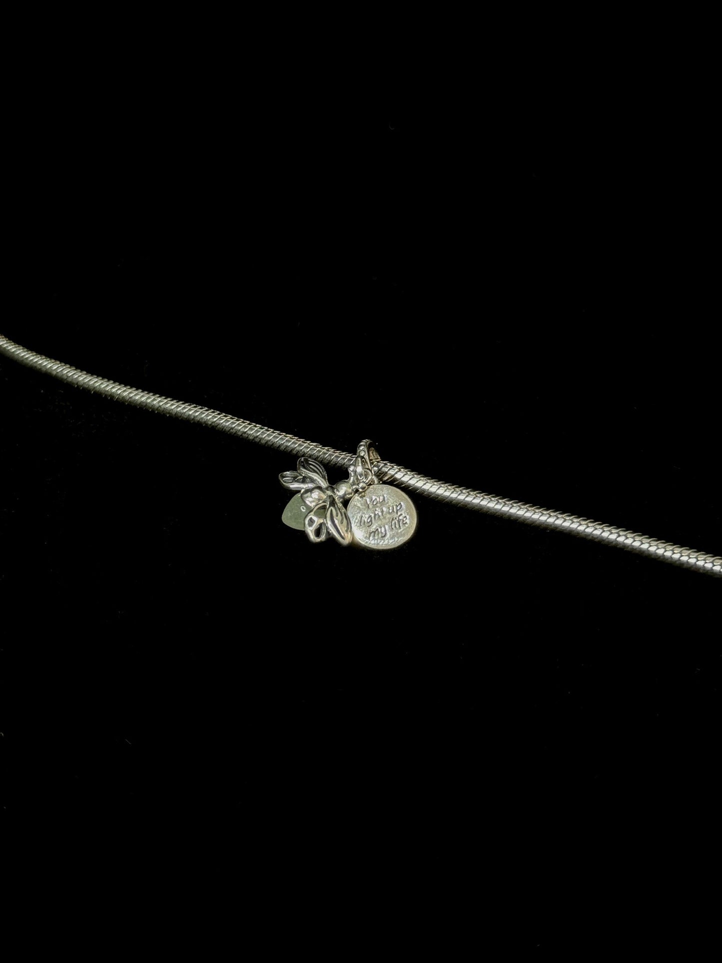 Charm Libélula
